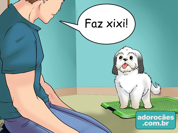 3 - palavra associacao para cão