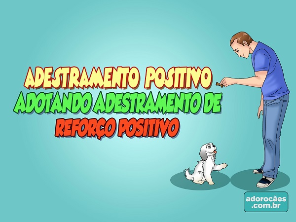 Adestramento Positivo