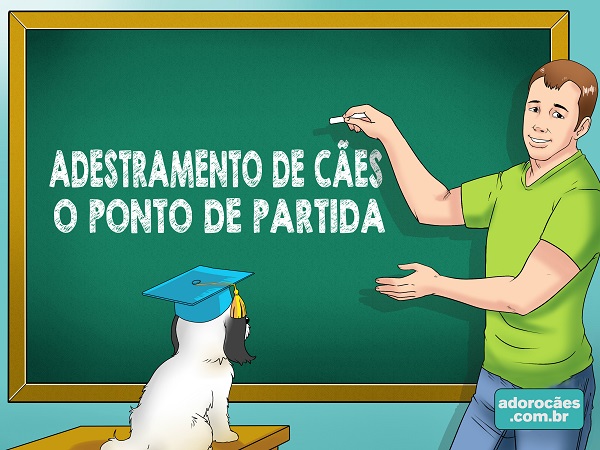 Adestramento de Cães