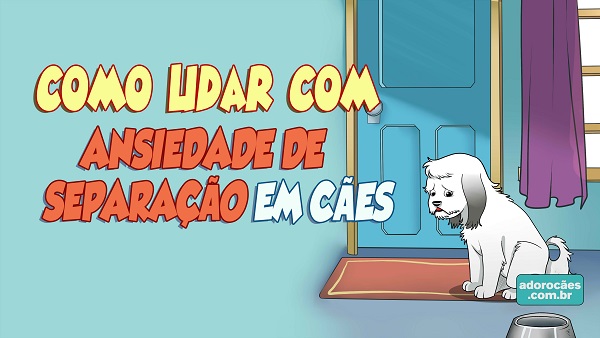 Ansiedade-de-separação-em-cães