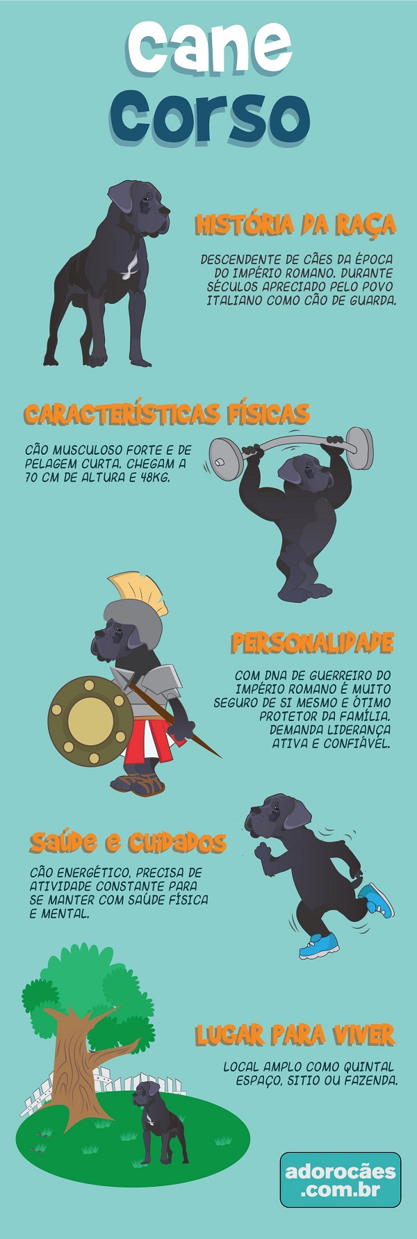 Cane Corso Infografico