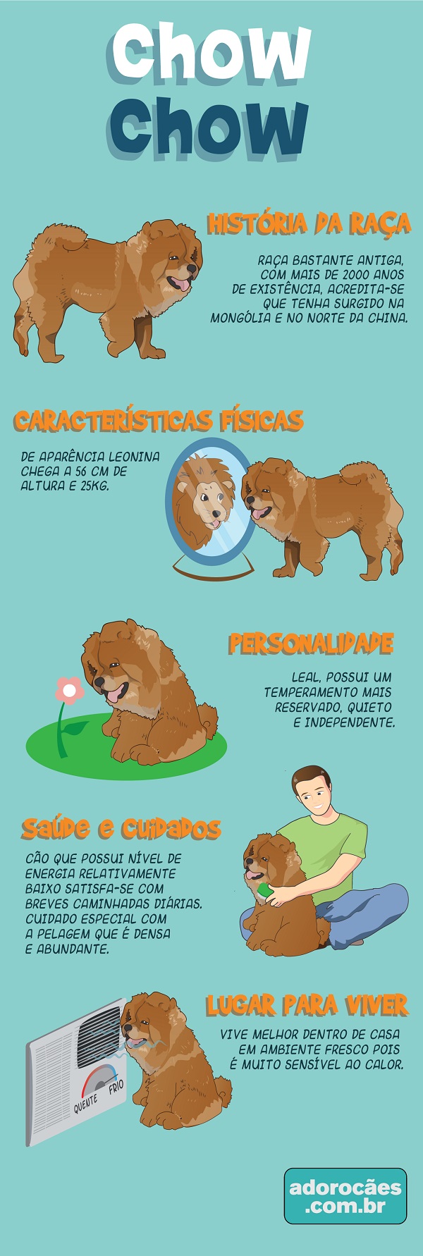 Chow Chow infografico