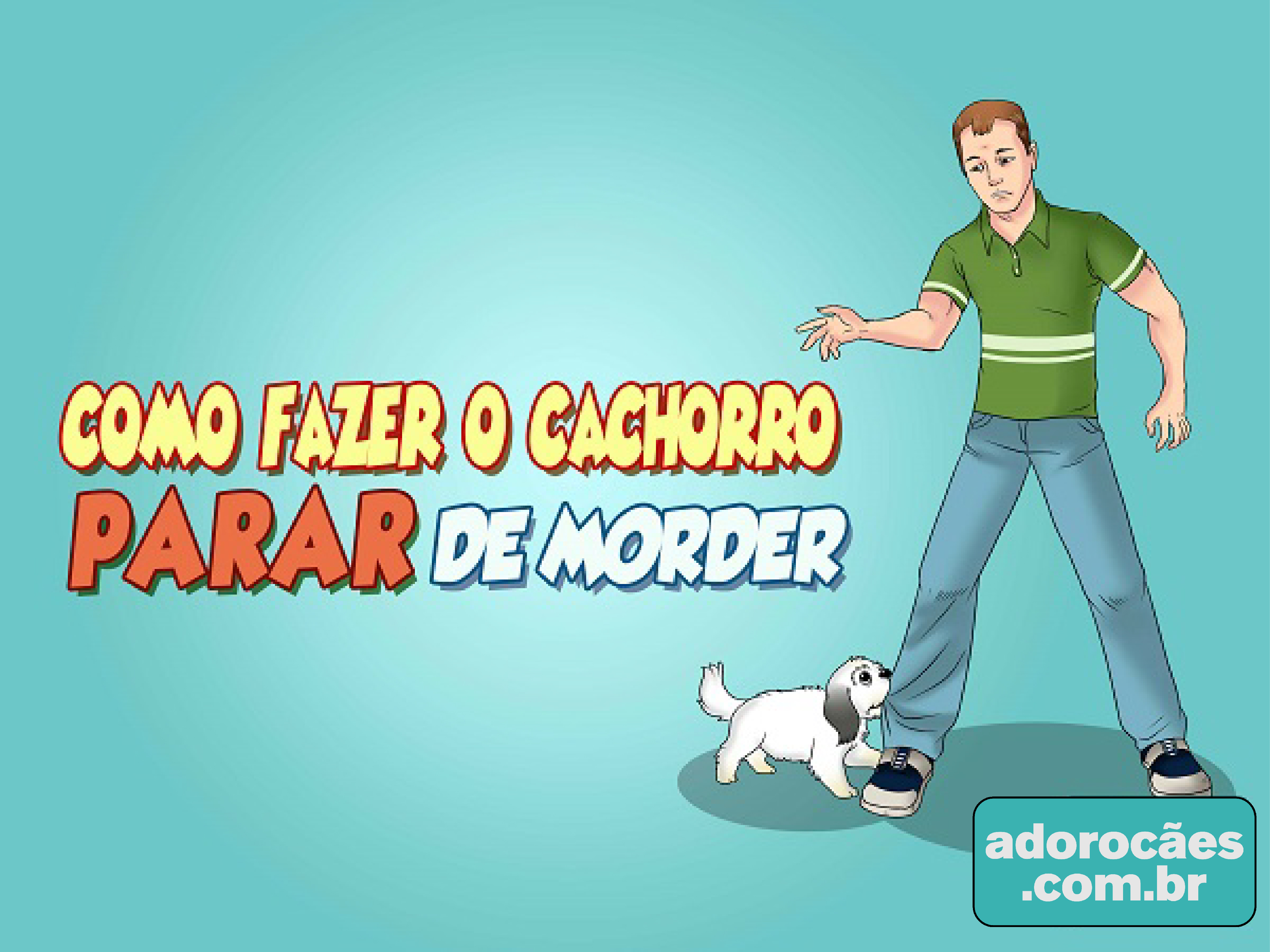 Como Fazer o Cachorro Parar de Morder