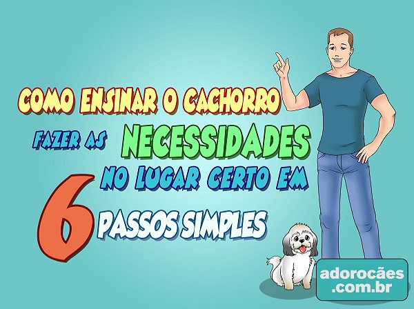 Como ensinar o cachorro fazer as necessidades no lugar certo