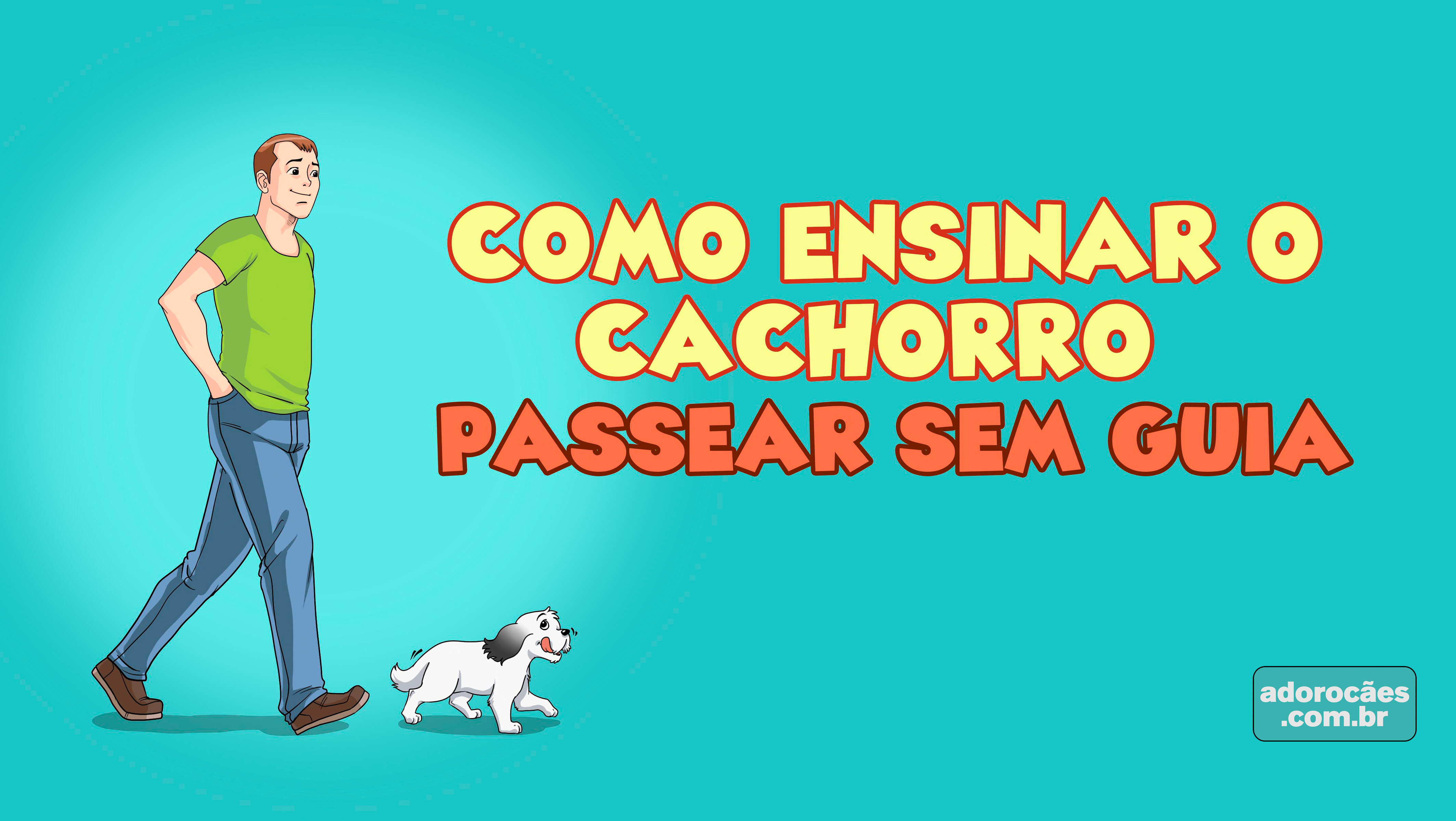 Como-ensinar-o-cachorro-passear-sem-guia