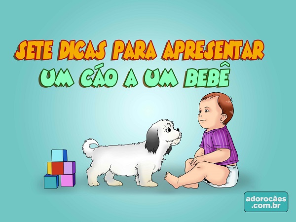 Dicas-para-Apresentar-um-Cão-a-um-Bebê