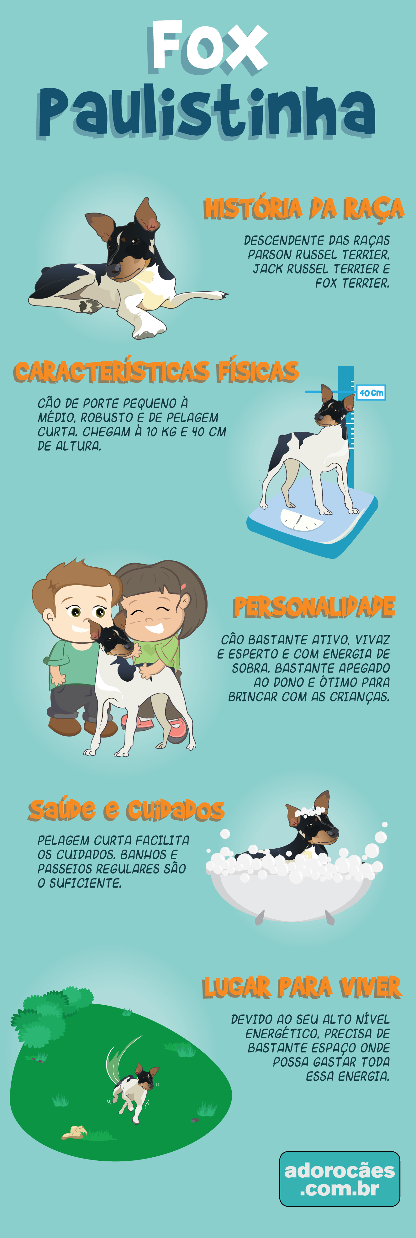 Fox Paulistinha infografico