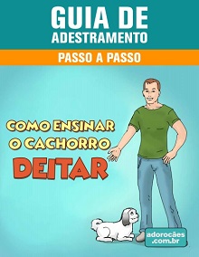 Guia de Adestramento - Como Ensinar o Cachorro Deitar