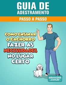 Guia de Adestramento - Como Ensinar o Cachorro Fazer as Necessidades no Lugar Certo