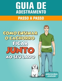 Guia de Adestramento - Como Ensinar o Cachorro Ficar Junto ao Seu Lado