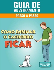 Guia de Adestramento - Como Ensinar o Cachorro Ficar