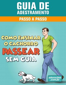 Guia de Adestramento - Como Ensinar o Cachorro Passear Sem Guia