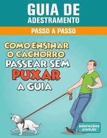 Guia de Adestramento - Como Ensinar o Cachorro Passear Sem Puxar a Guia