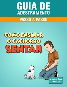 Guia de Adestramento - Como Ensinar o Cachorro Sentar