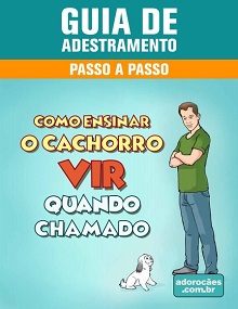 Guia de Adestramento - Como Ensinar o Cachorro a Vir Quando Chamado