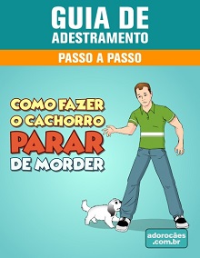 Guia de Adestramento - Como Fazer o Cachorro Parar de Morder