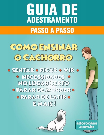 Guia de Adestramento de Cães Passo a Passo