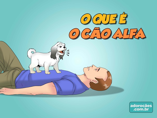 O-que-é-o-cão-alfa