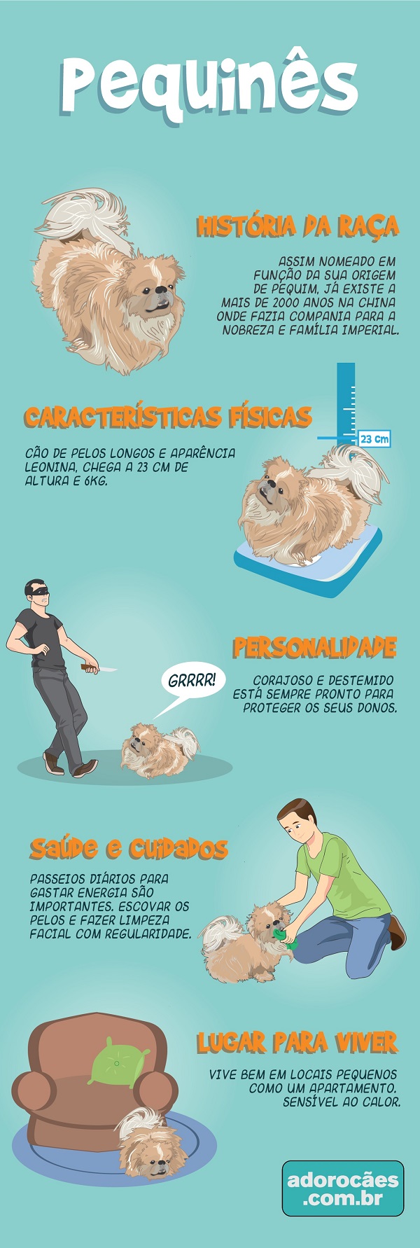 Pequines Infografico