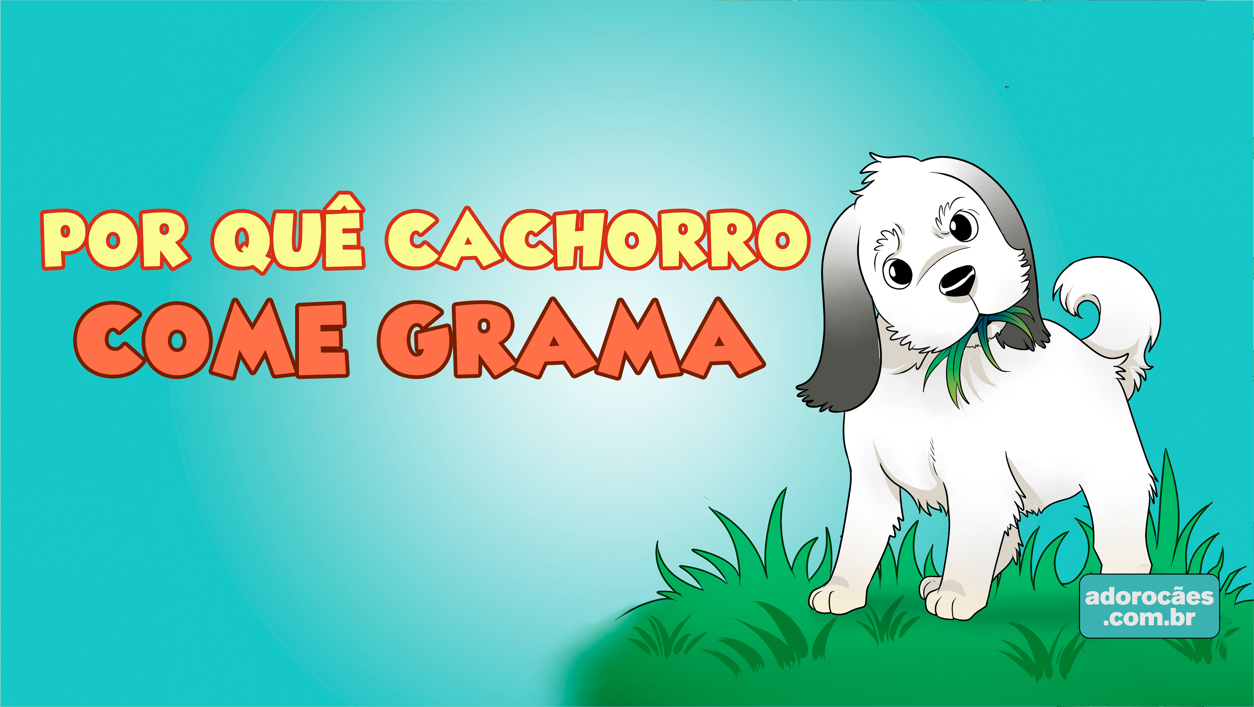 Por-quê-cachorro-come-grama