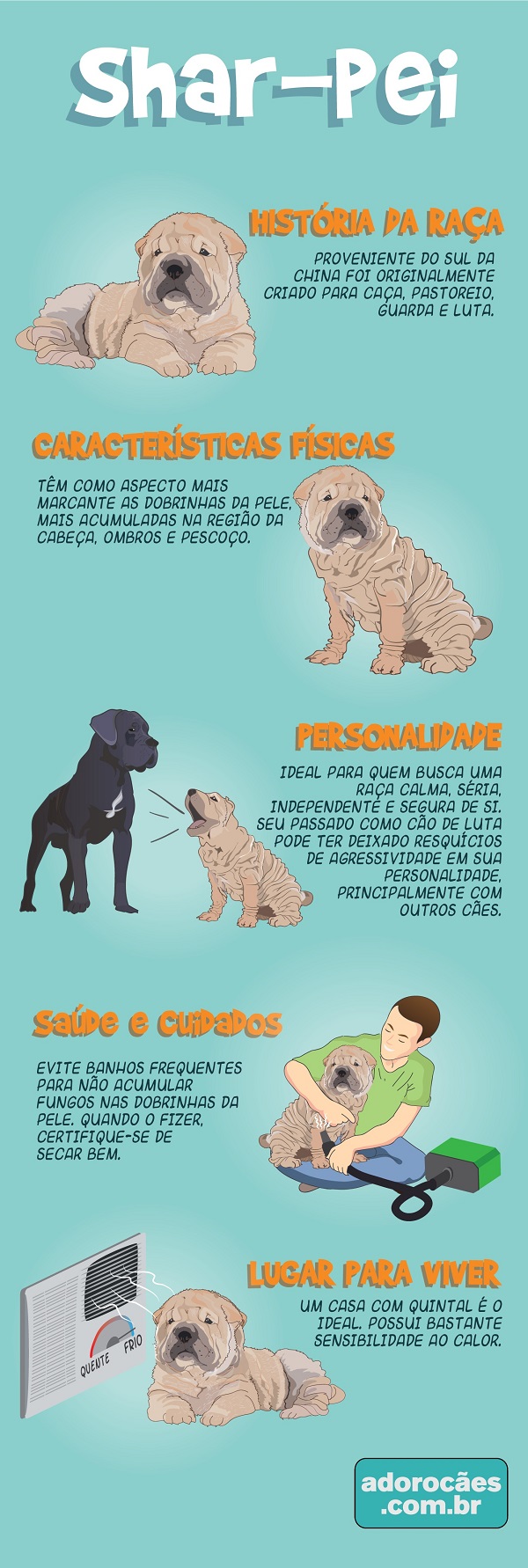 Sharpei infografico