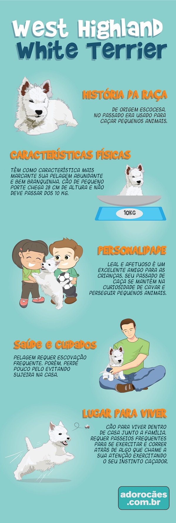 West Highland White Terrier Infografico