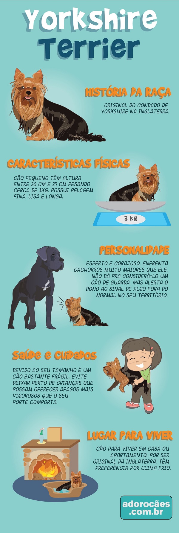 Yorkshire Terrier Infografico