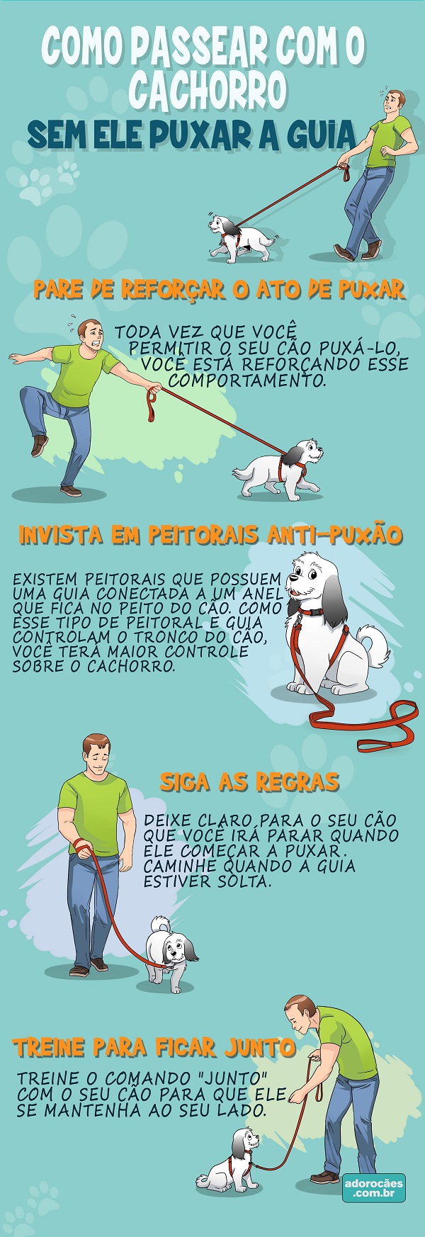 como-passear-com-o-cachorro-sem-ele-puxar-a-guia-infografico