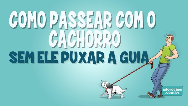 como-passear-com-o-cachorro-sem-ele-puxar-a-guia