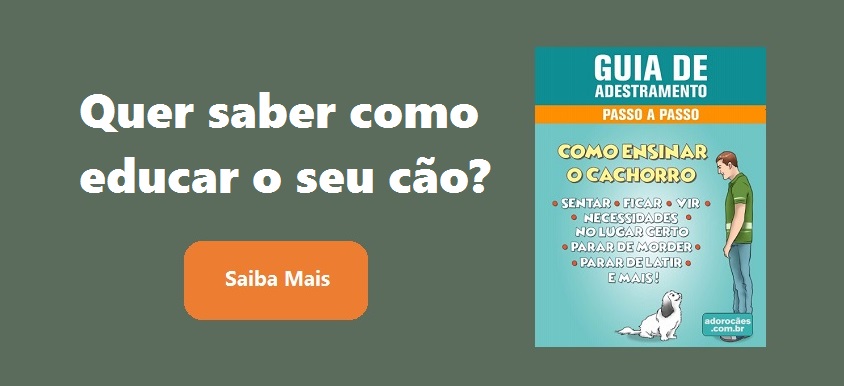 Guia de Adestramento de Cães Passo a Passo