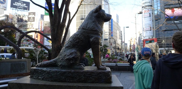 A história do cachorro Hachiko