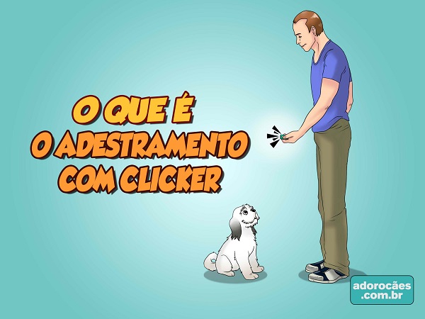 o-que-é-o-adestramento-com-clicker2