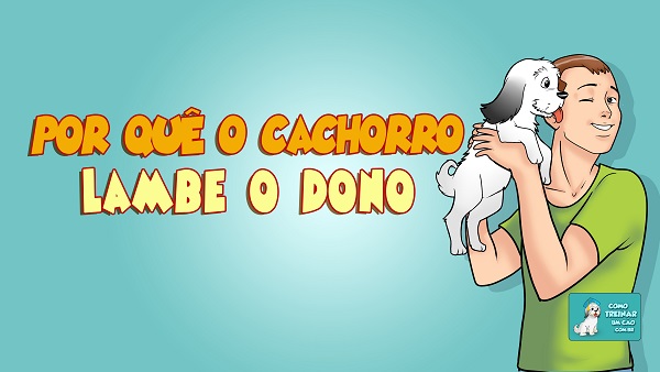 porque o cachorro lambe o dono - AdoroCães.com.br - Para Apaixonados ...