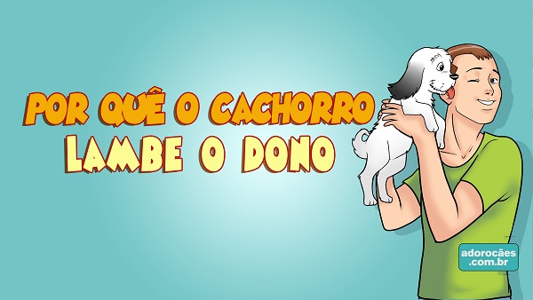 porque-o-cachorro-lambe-o-dono